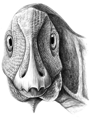 Telmatosaurus reconstruction.